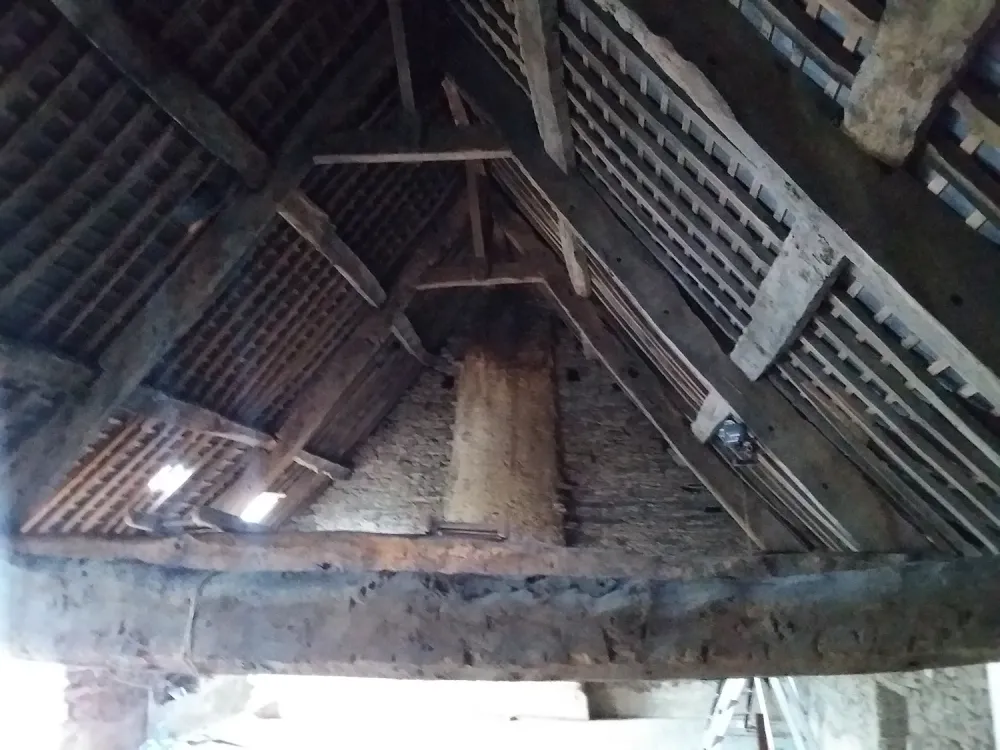 renovation (1)